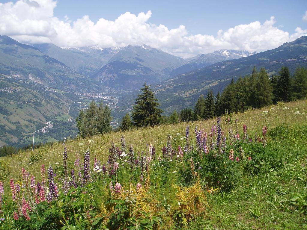 Chalet Les Gentianes La Plagne Εξωτερικό φωτογραφία